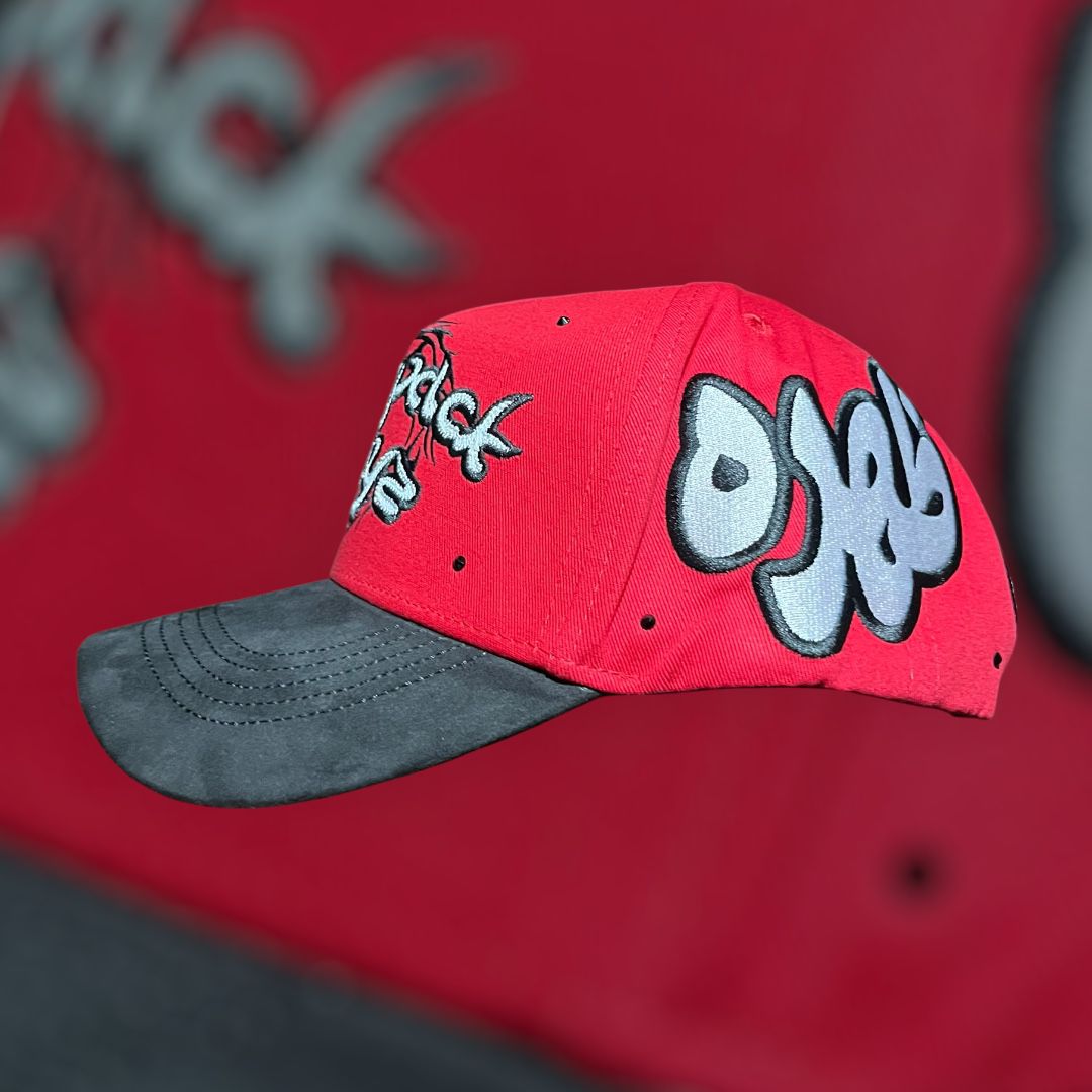 31 HATS backpack boyz